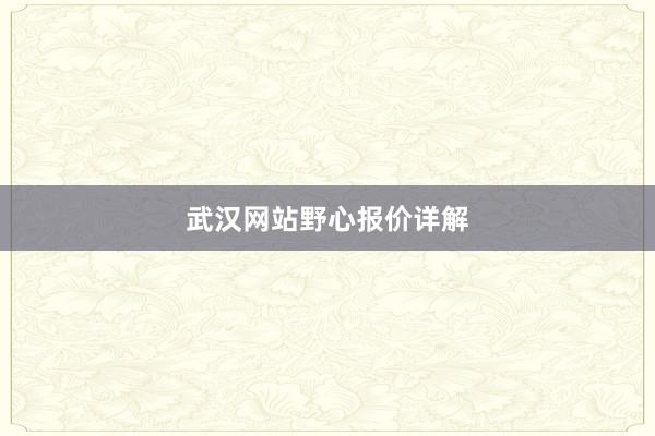 武汉网站野心报价详解
