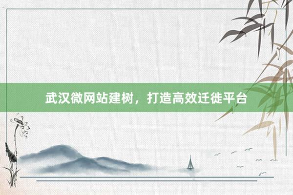 武汉微网站建树，打造高效迁徙平台