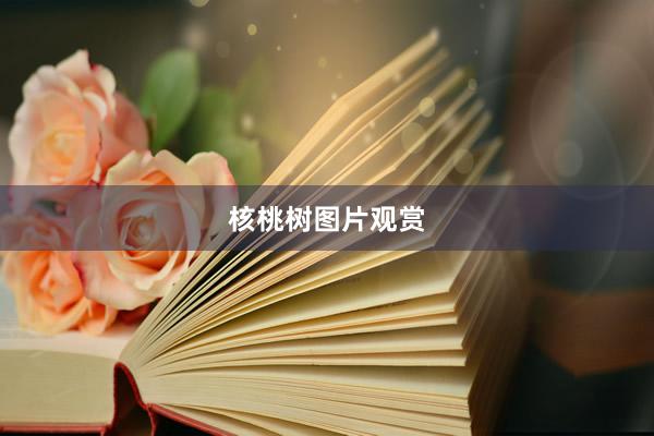 核桃树图片观赏