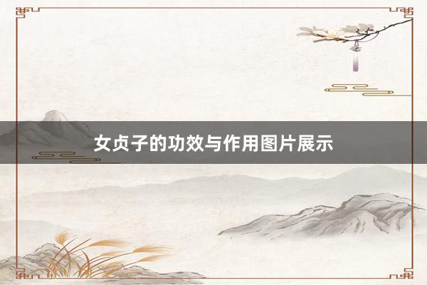 女贞子的功效与作用图片展示
