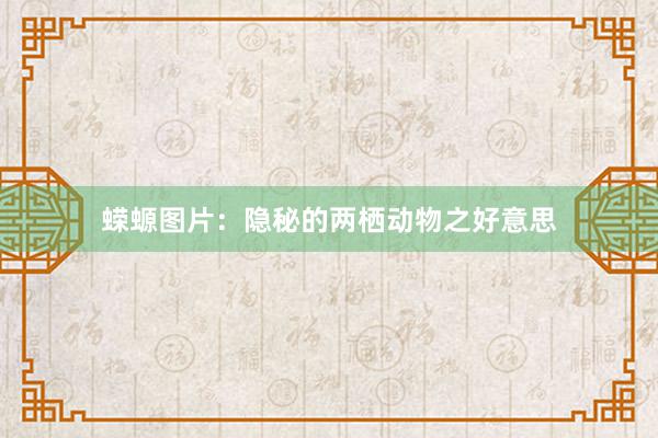 蝾螈图片：隐秘的两栖动物之好意思